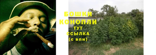 крисы Вяземский
