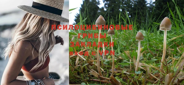 крисы Вяземский
